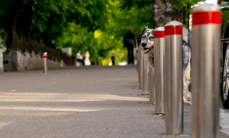 Home 15 Bollards 2